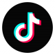 TikTok Logo